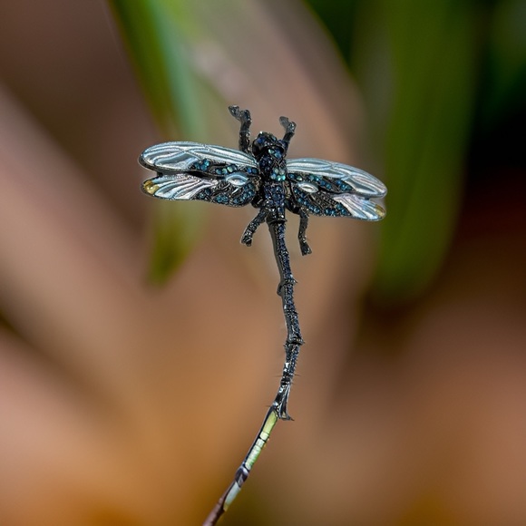 New Dragonfly Rhinestone brooch - Picture 5 of 6